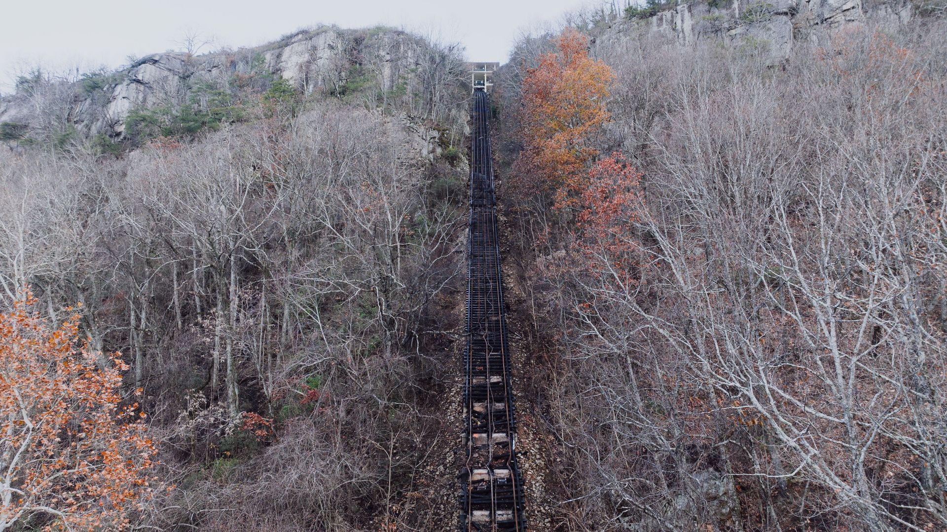 Forest hillside with a steep black stairway leading up through bare trees and autumn foliage