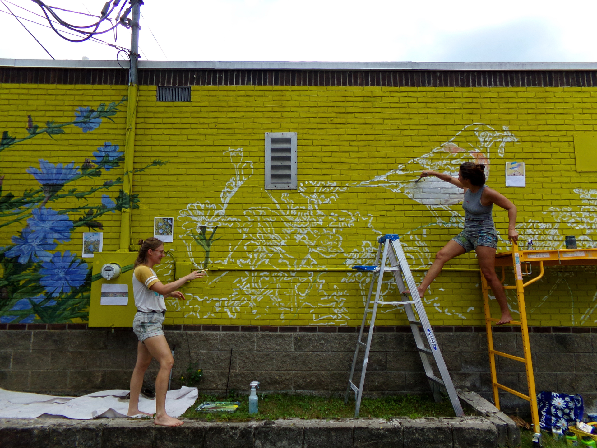 People painting a bright yellow brick wall outdoors, one on a ladder and one on the ground