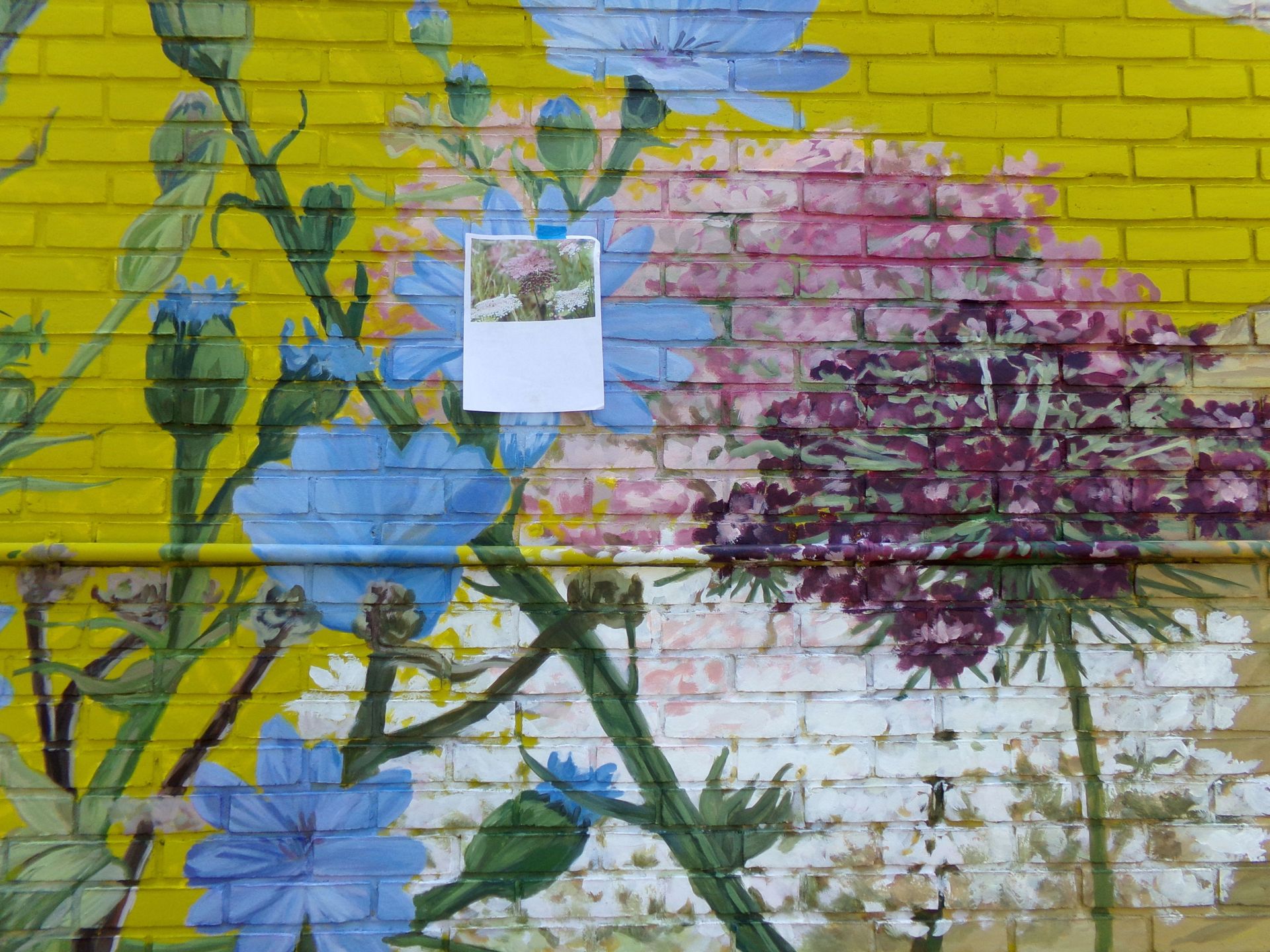 Colorful floral mural on a brick wall with a paper reference posted at center