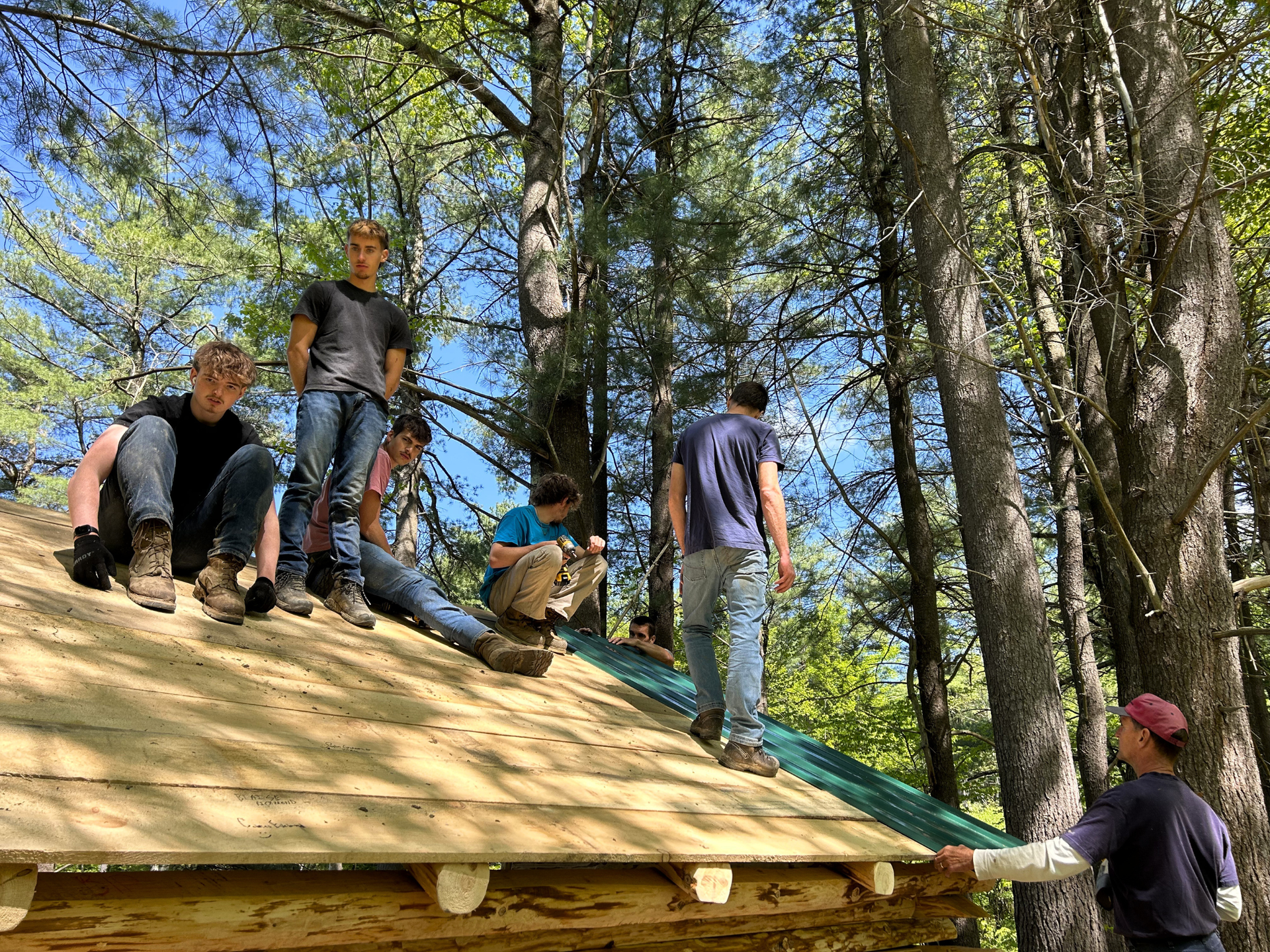 Several people sit and stand on a sloped roof in a wooded area.