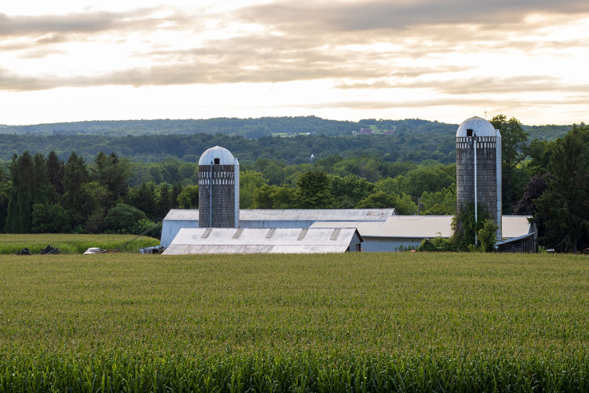 Farm on Council House Road