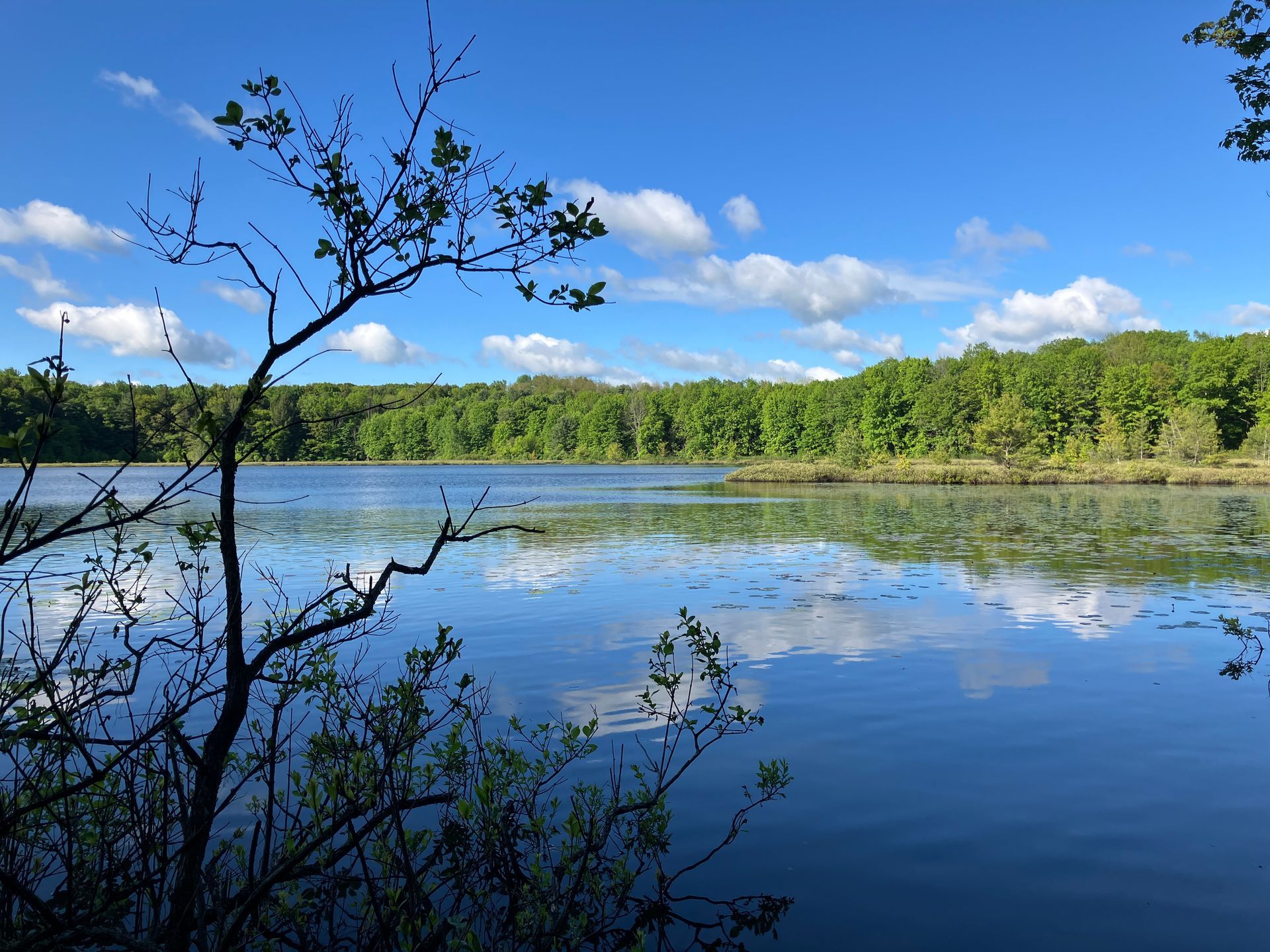 Moss Lake 