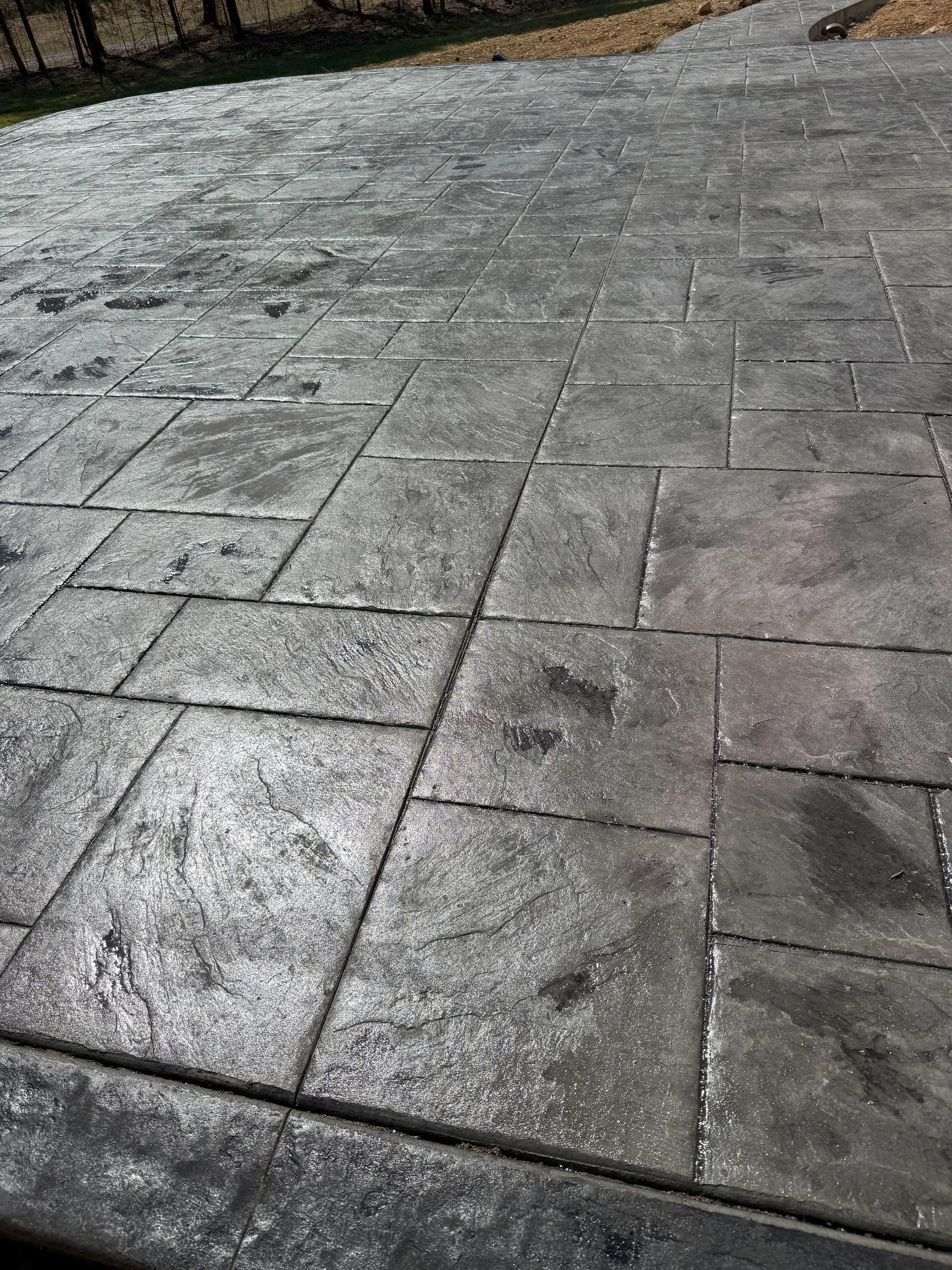 Gray stone-paved walkway with wet patches and a tree-lined edge