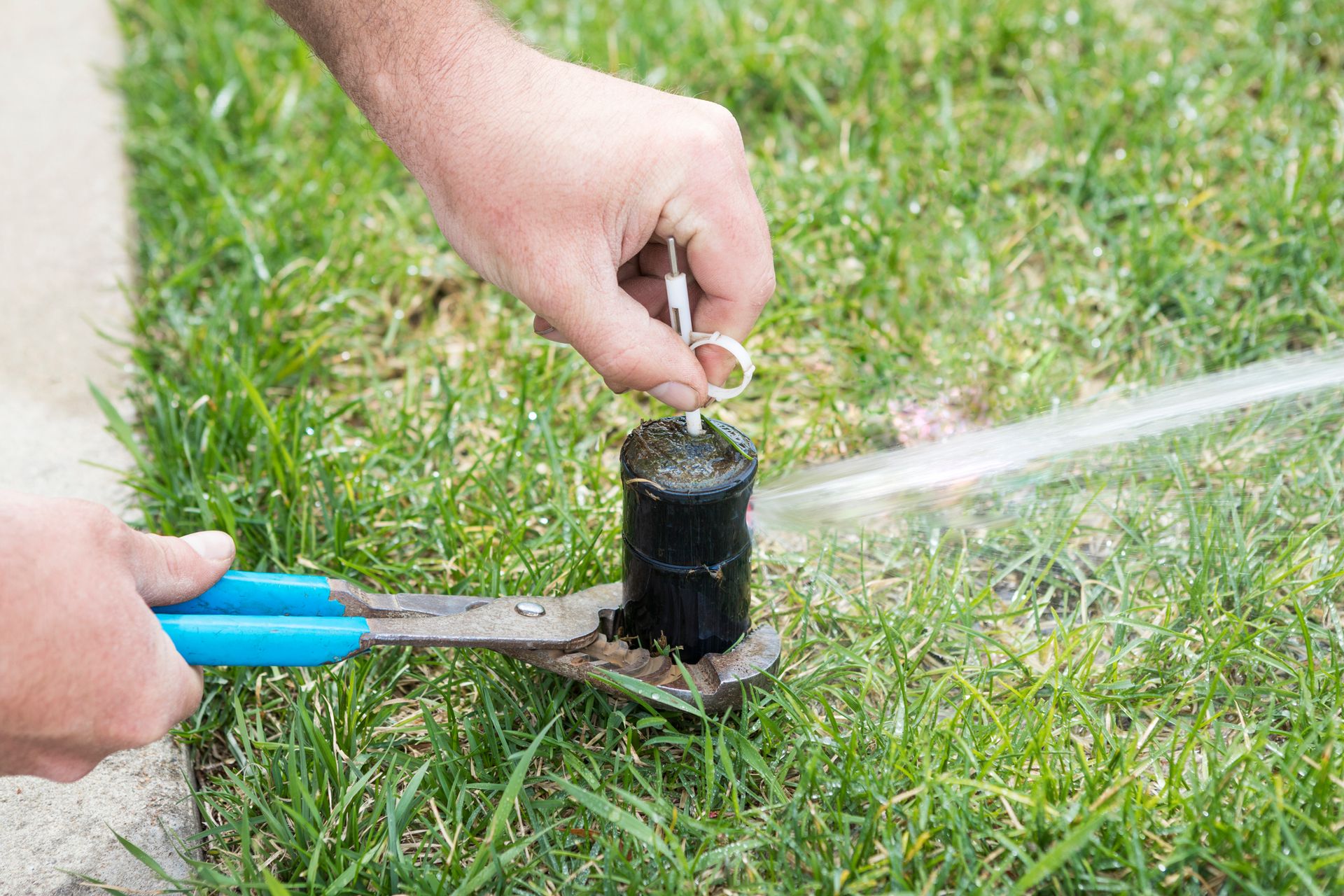 Advanced Lawn Sprinkler LLC Lawn Sprinklers Toms River NJ