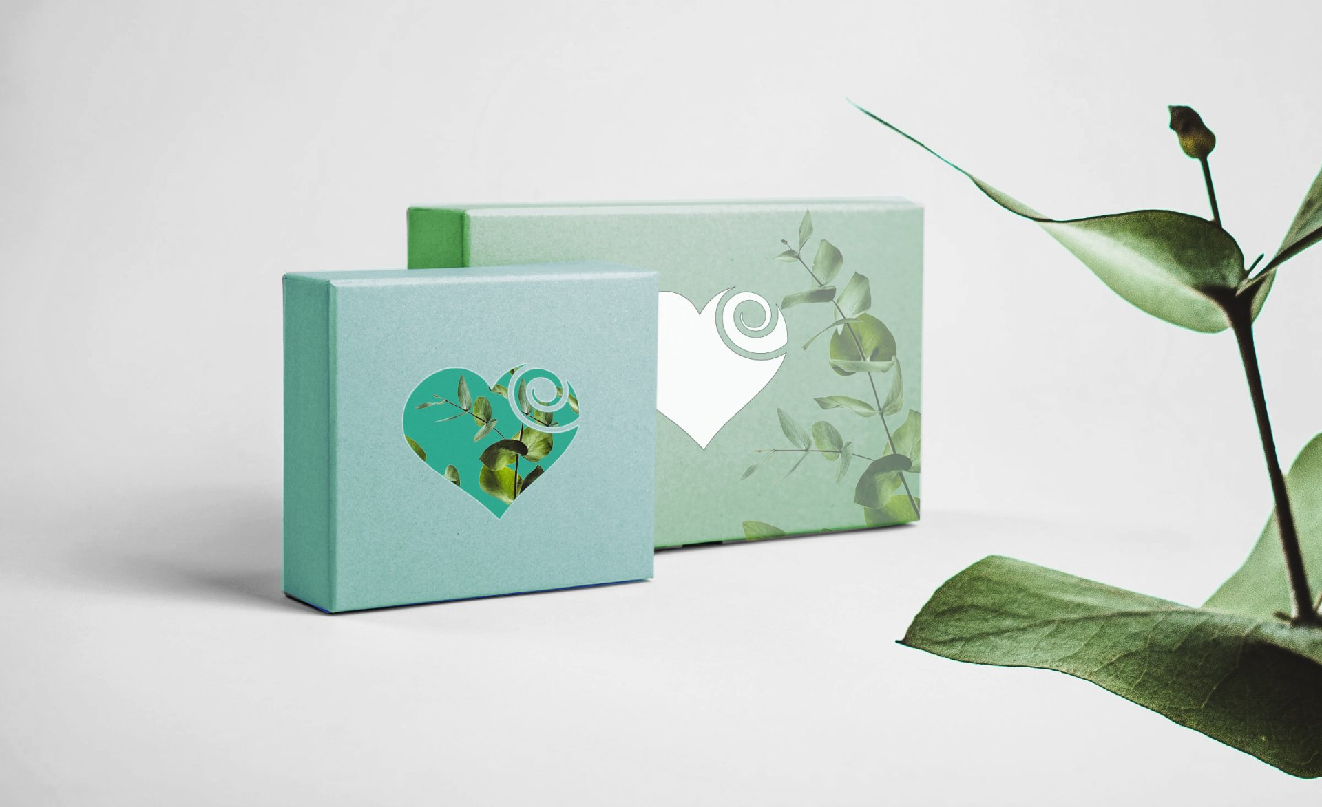 Logo packaging design vector NZ & worldwide