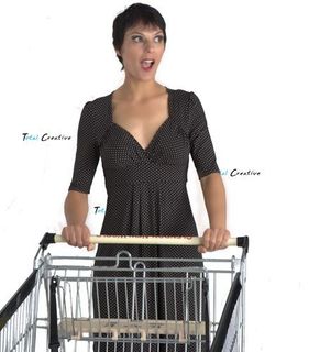 E-commerce, Shopping Websites E-Commerce shopping websites with CMS (content management). NZ web designer. Total Creative.