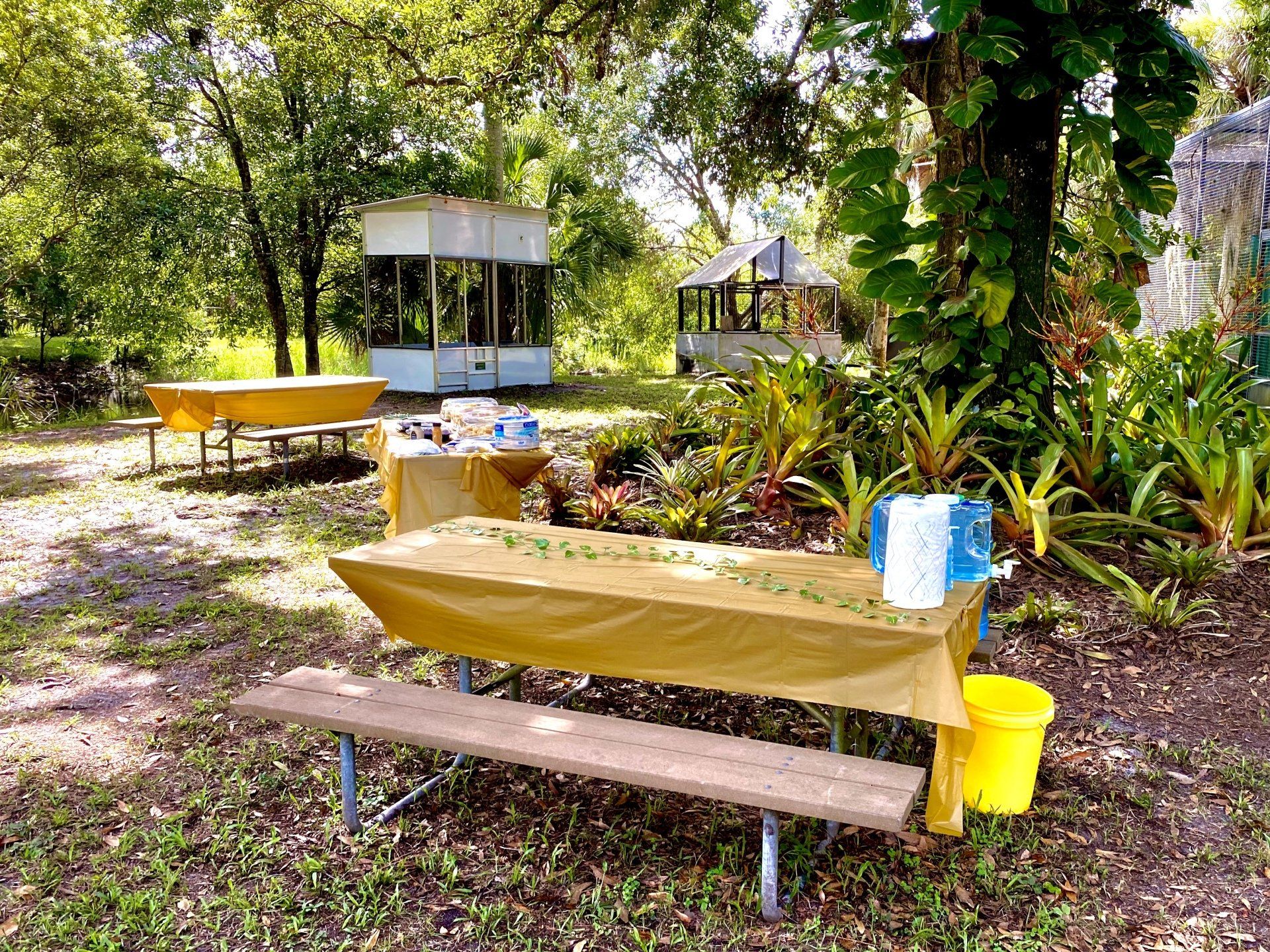 Decorated event picnic table