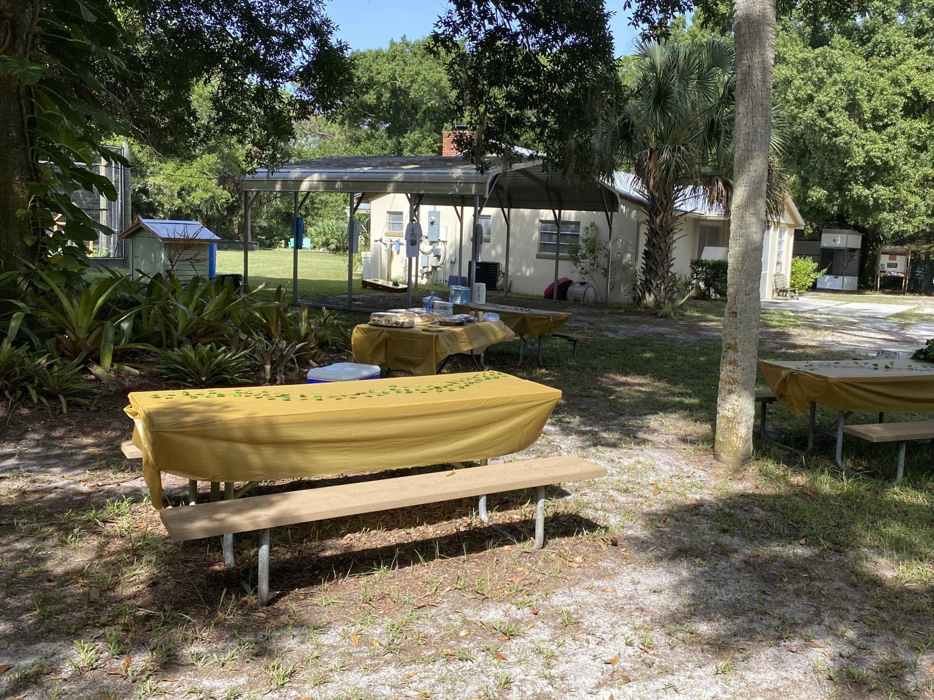 decorated picnic tables