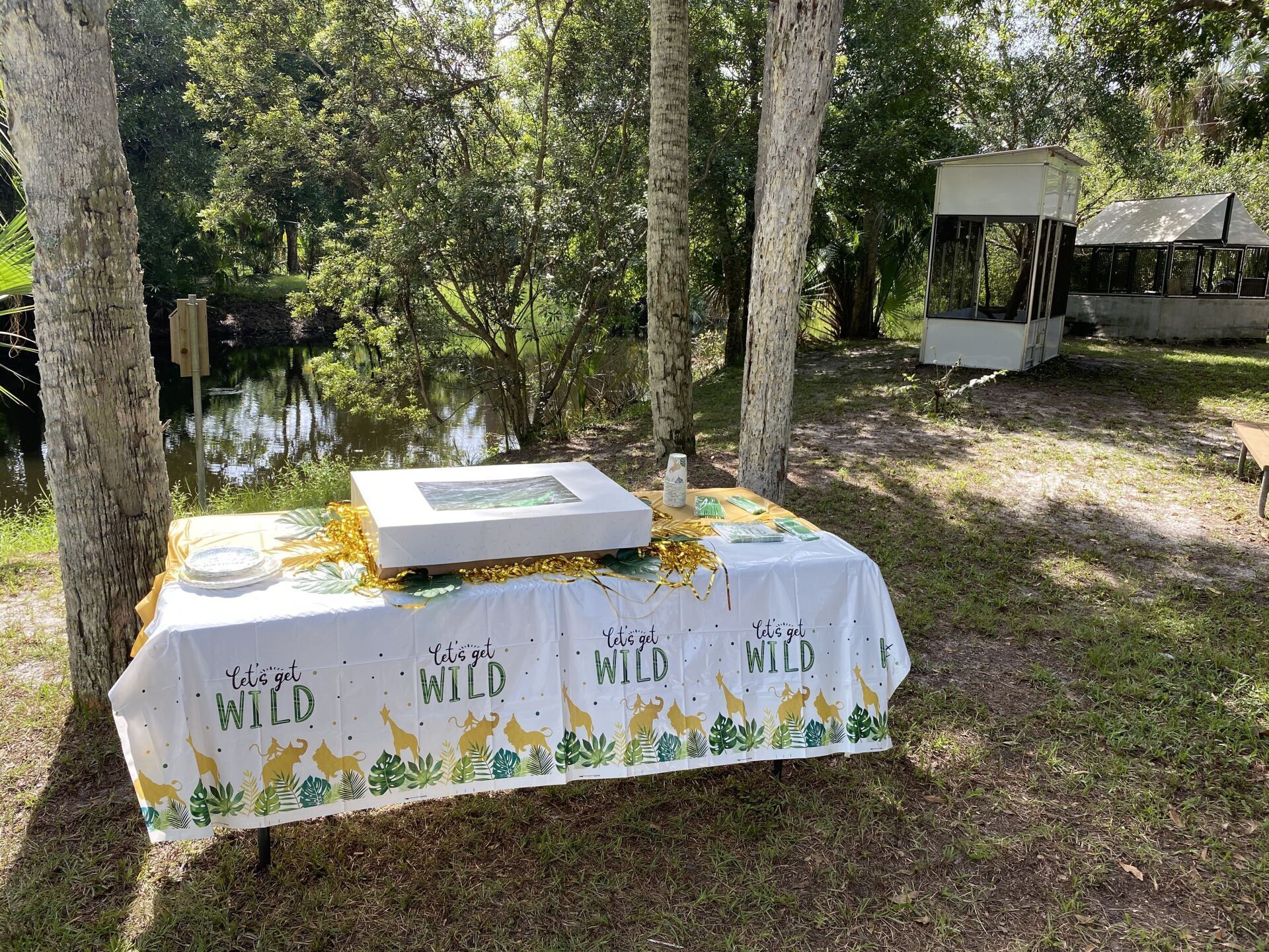 Picnic table with a cake