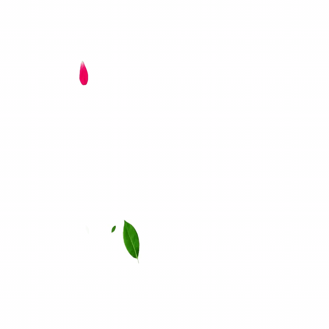 Petals on Abracadabra's backless strapless bras website