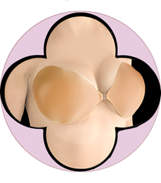 StraplessBacklessSeamlessBrasAbracadabra