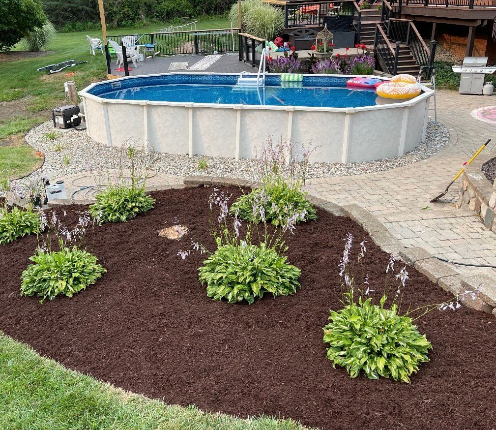 A large swimming pool is being built in a backyard.