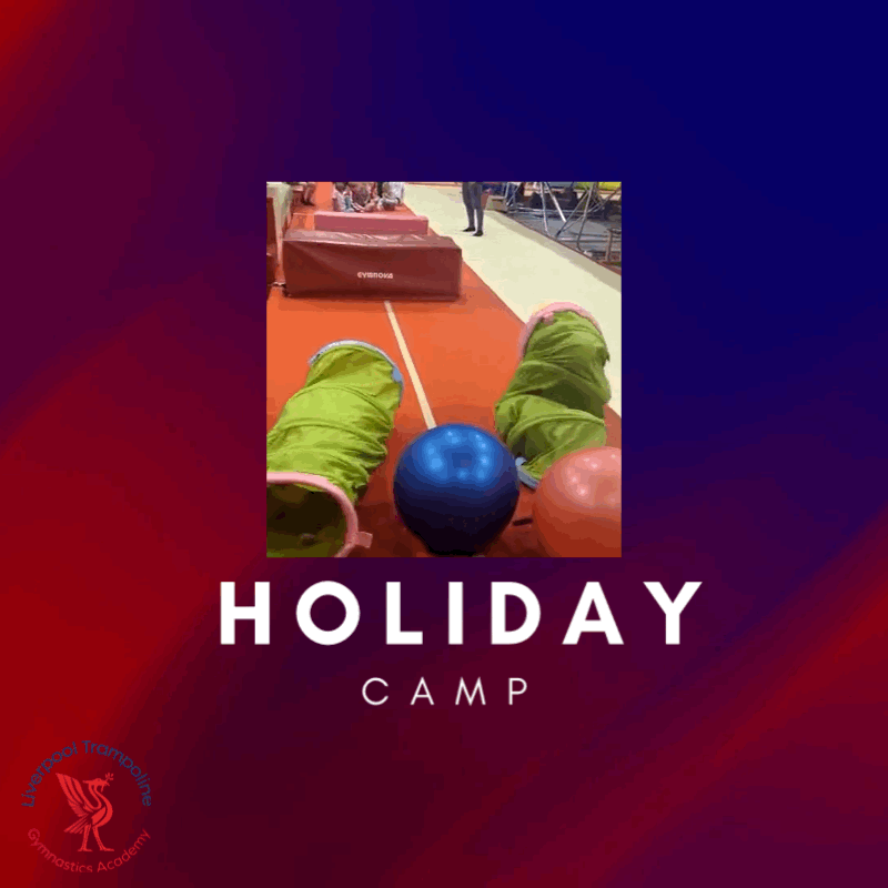 A person is laying on the floor with a blue ball in their hand.