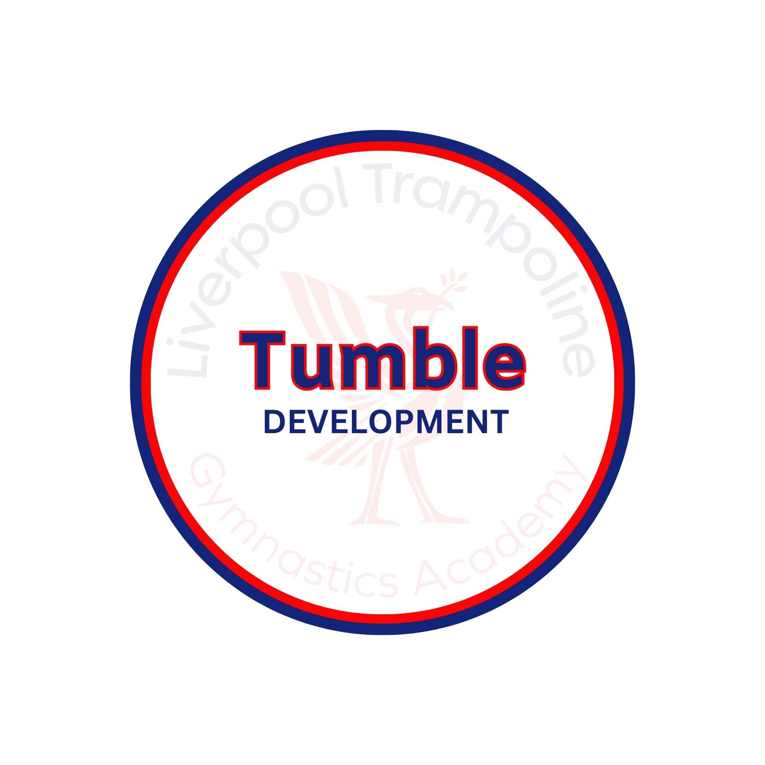 A logo for tumble development gymnastics academy