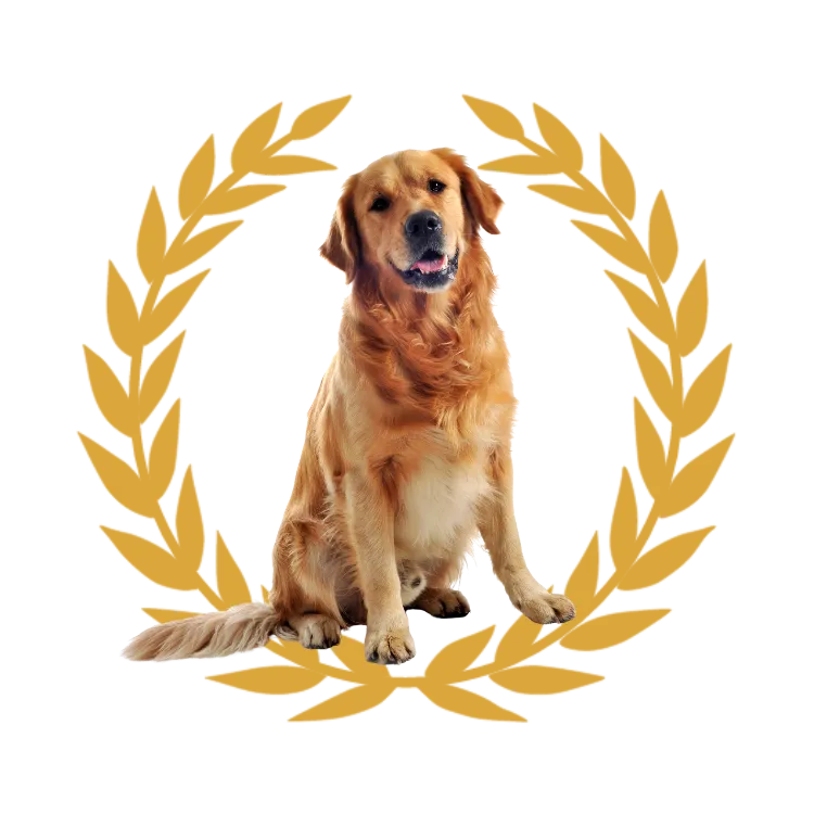 A Golden Retriever — North Las Vegas, NV — King’s Corner