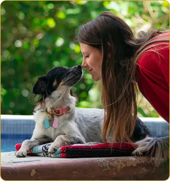 Boulder City Dog Training