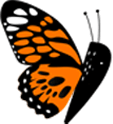 A butterfly with black and orange patterned wings shown from a side profile.