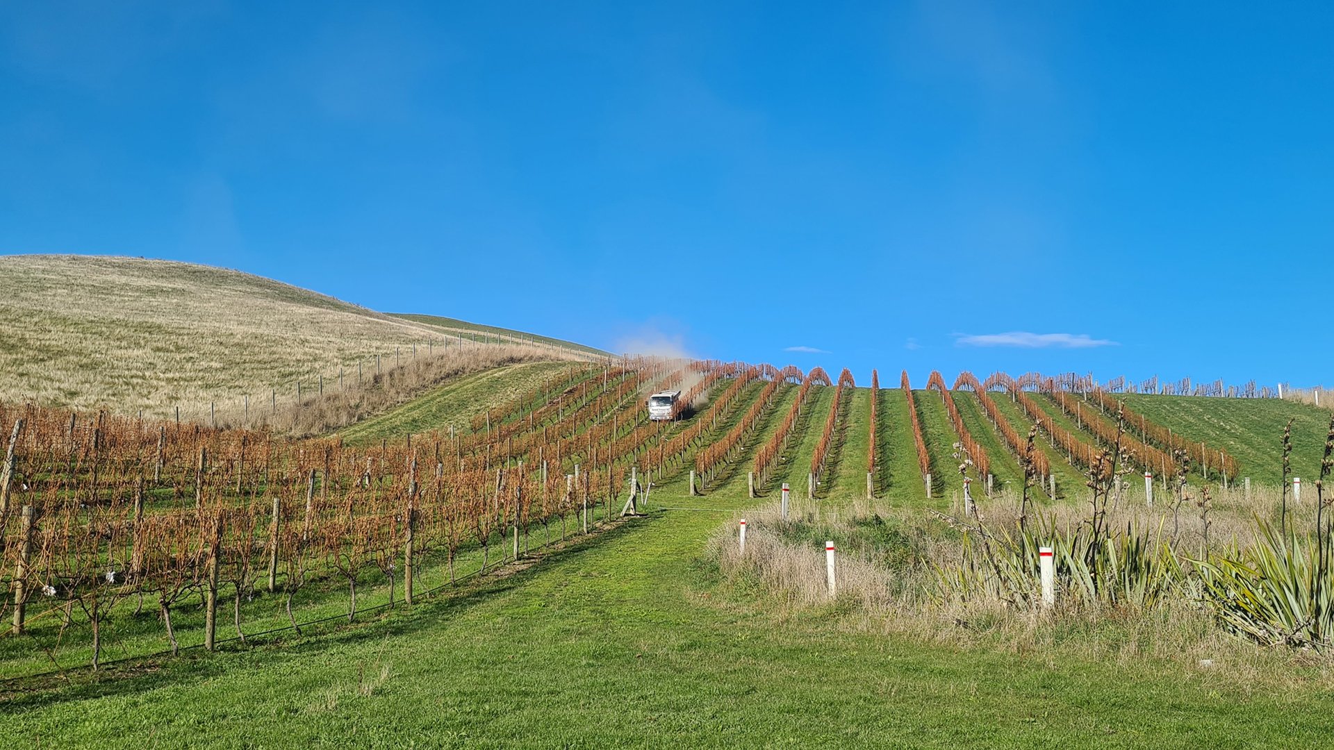 Fertiliser spreading in the Marlborough region by Renwick Transport.