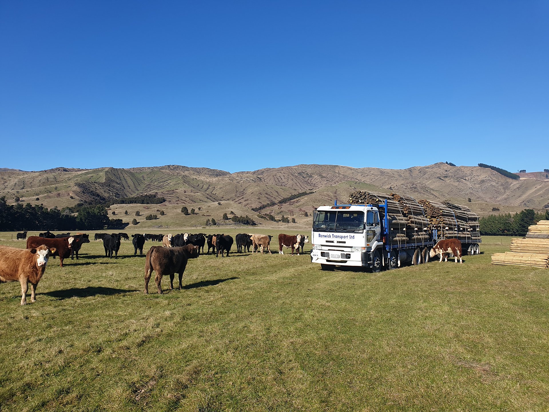 General Freight by Renwick Transport for the Nelson, Marlborough and Canterbury regions.