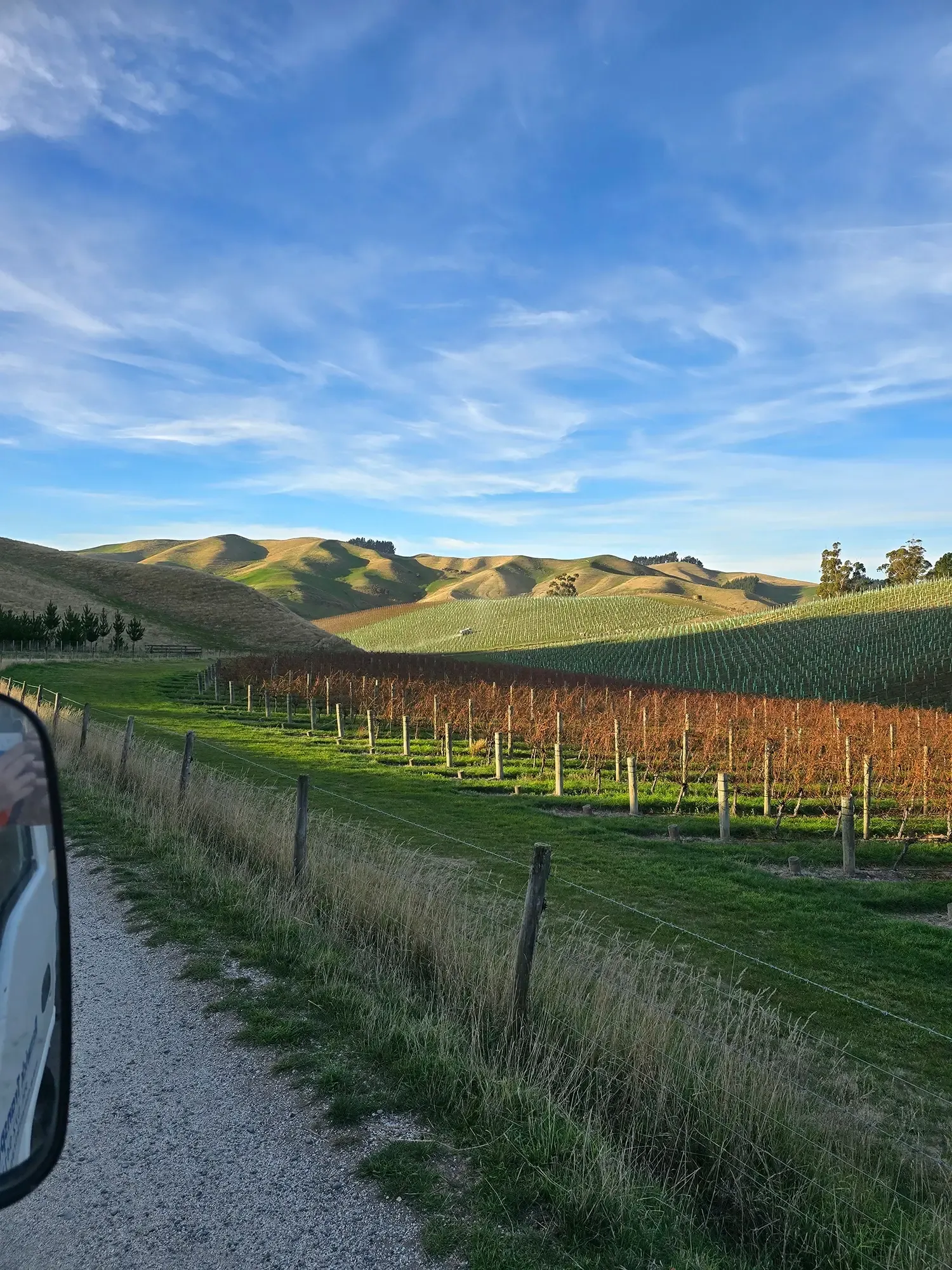 Grape Cartage by Renwick Transport for the Nelson, Marlborough and Canterbury regions.