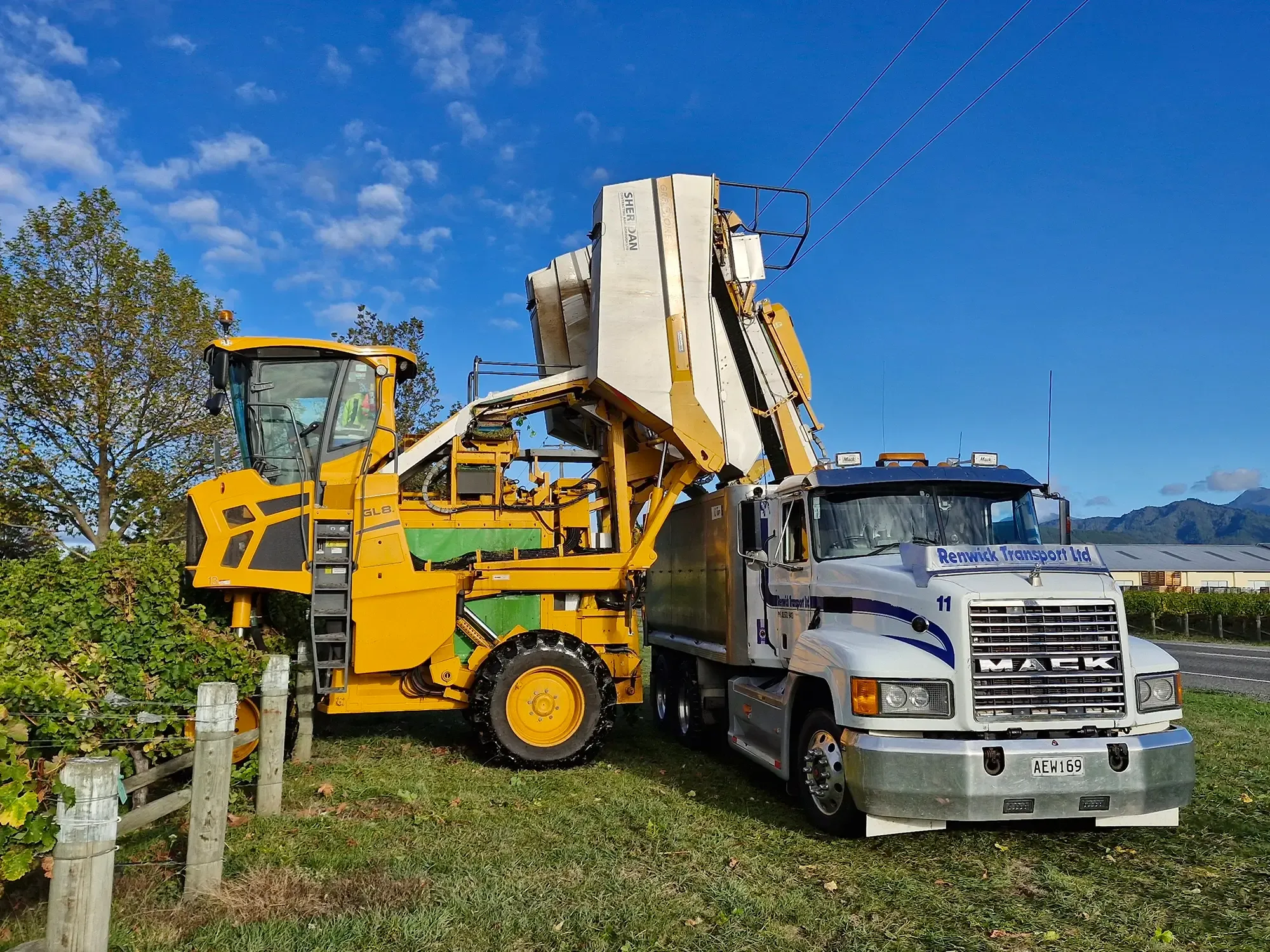 Grape Cartage by Renwick Transport for the Nelson, Marlborough and Canterbury regions.