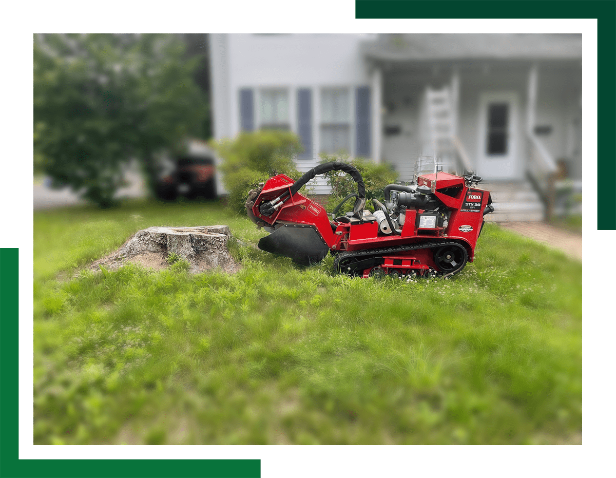 Greene's Stump Removal - About Us