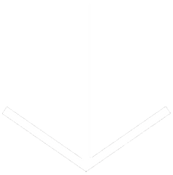 arrow icon