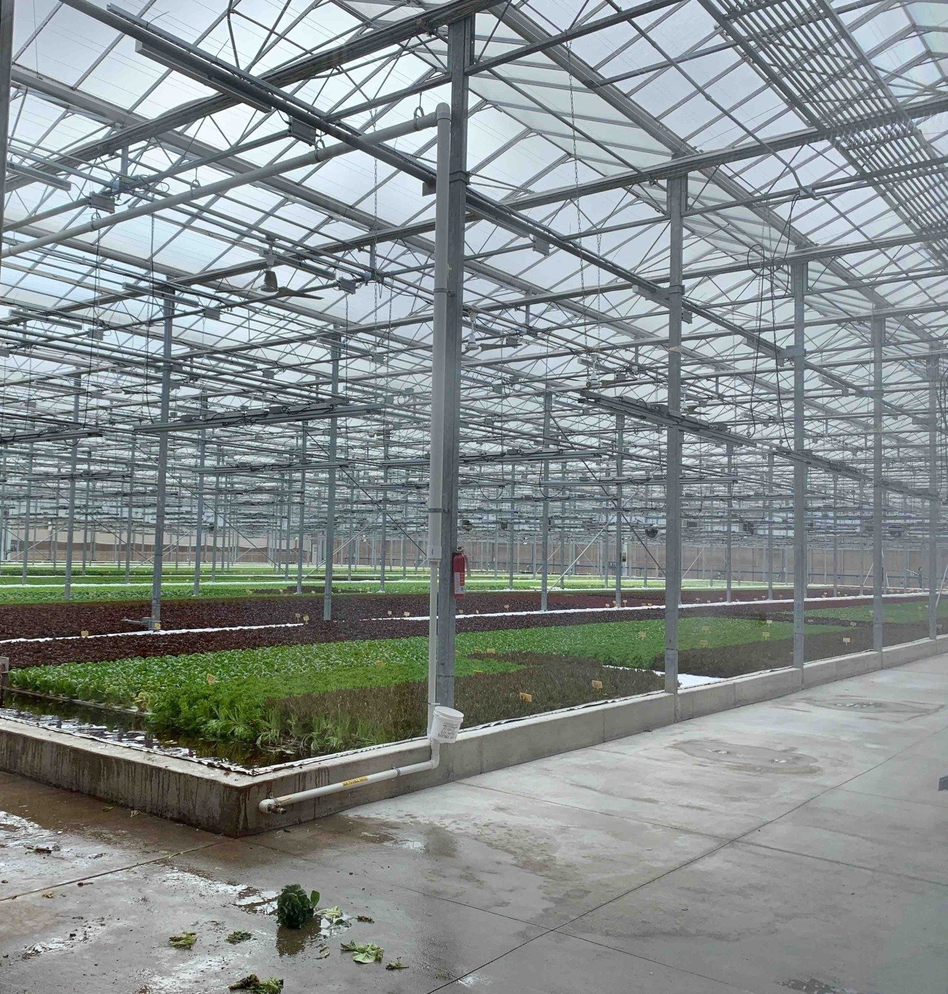 Greenhouse Construction