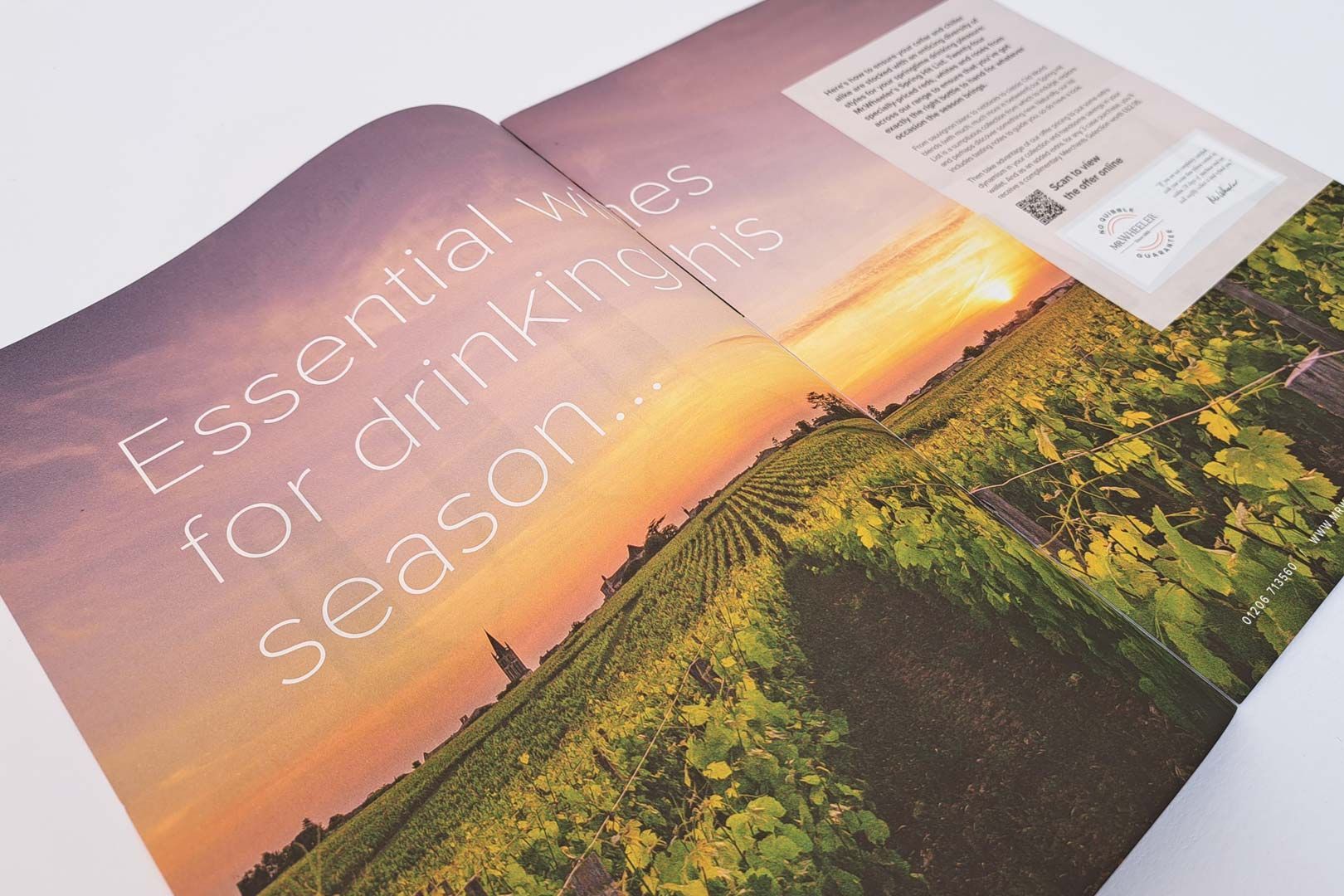 Open magazine spread with sunset over vineyard, text 