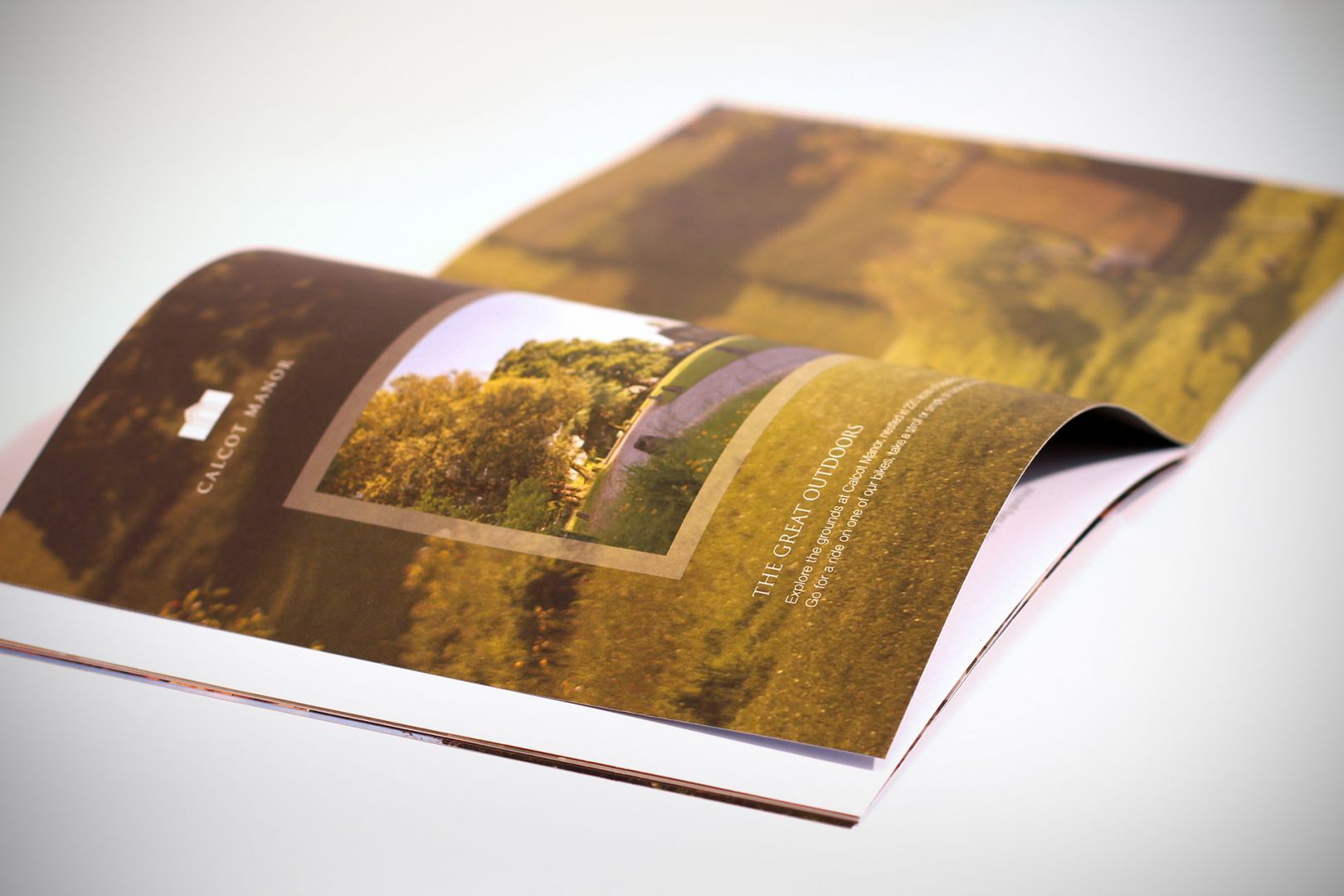 Open brochure with a nature scene of trees and a road.