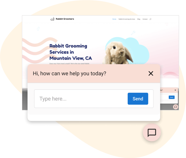 A website for rabbit grooming services in mountain view ca