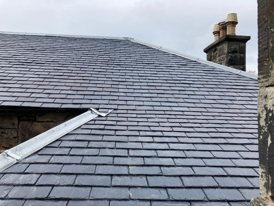 Professional property maintenance
