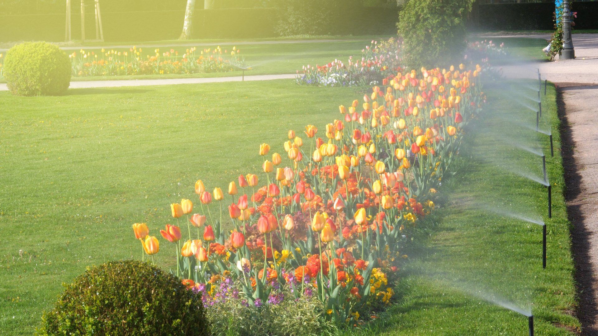 Irrigation Services in Watkinsville, Georgia