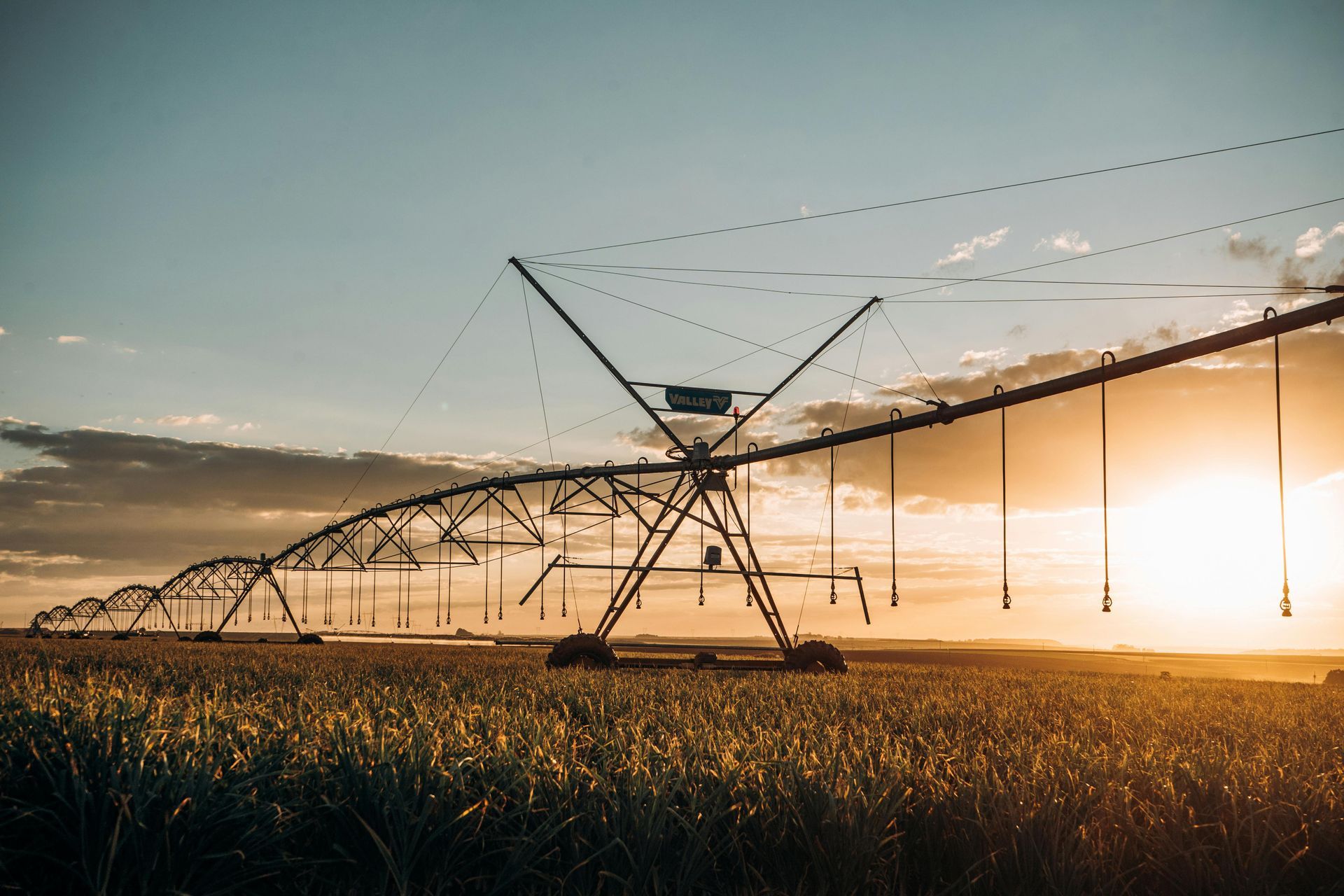 Irrigation Services