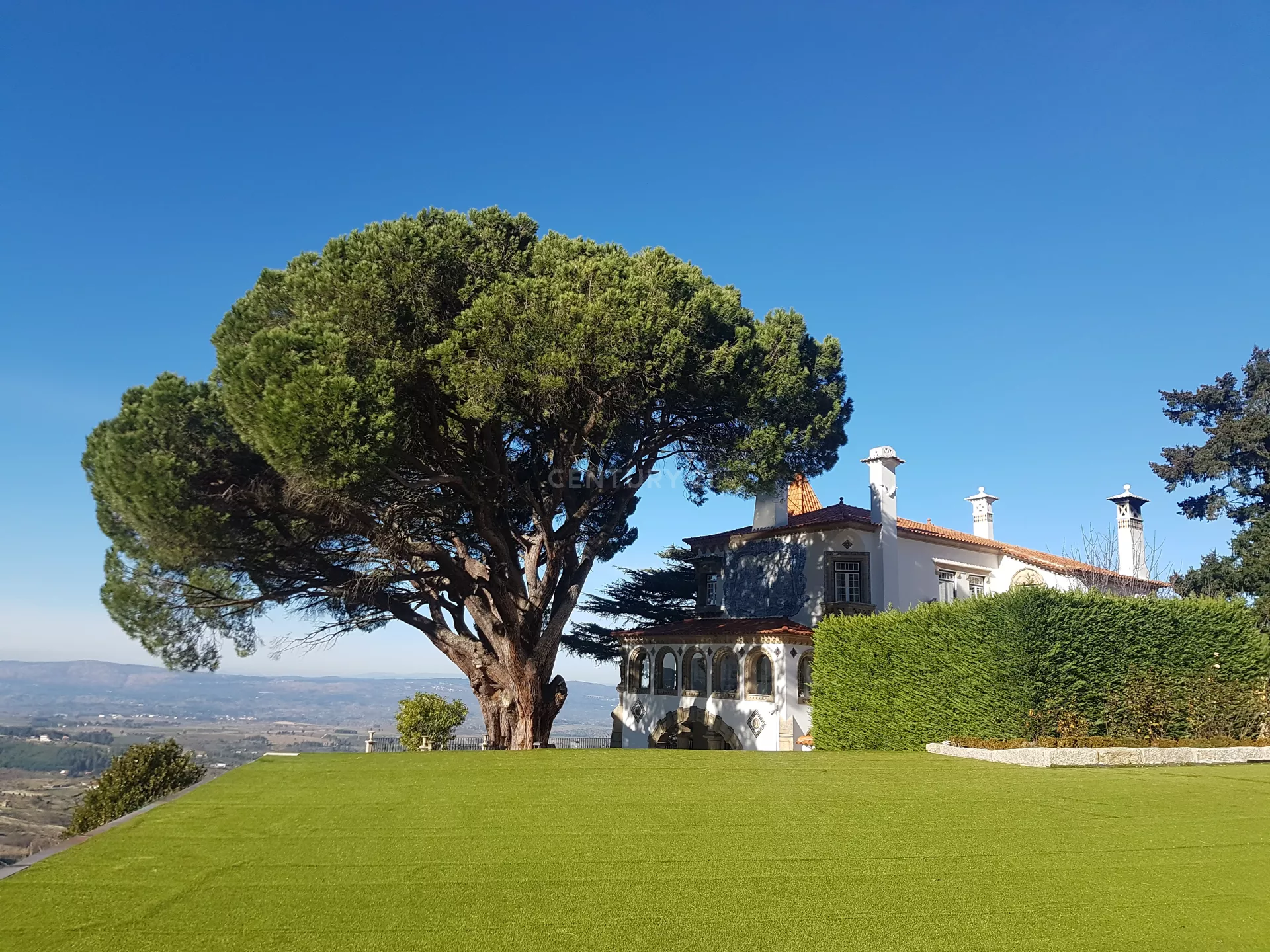 Uma casa com uma grande árvore na frente