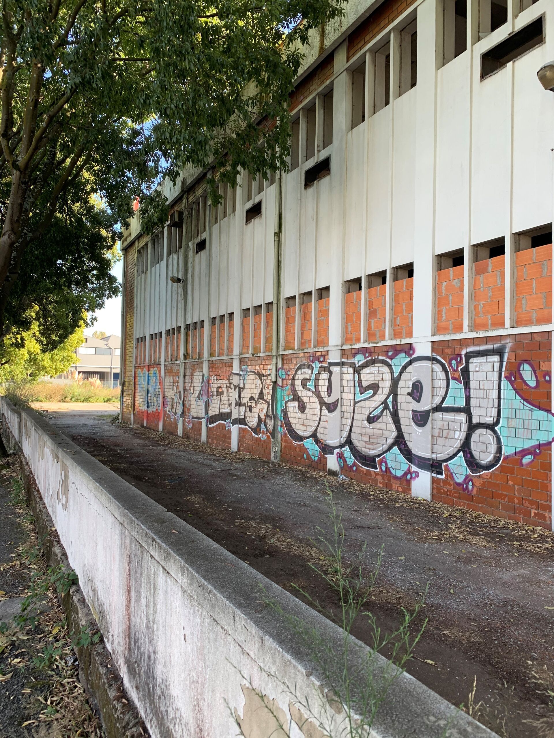 Um grande edifício com grafite na lateral.