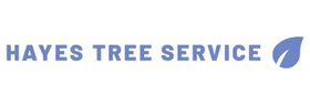 Hayes Tree Service logo in blue with a leaf icon on a white background