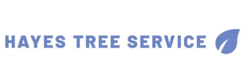 Hayes Tree Service logo in blue with a leaf icon on a white background