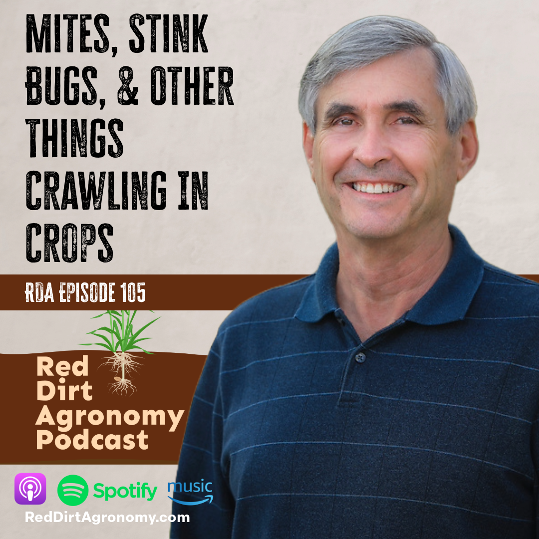 Podcast cover with smiling man and title “Mites, Stink Bugs, & Other Things Crawling in Crops”