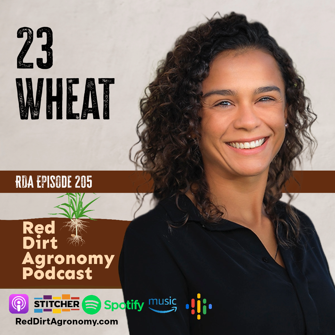 Podcast cover for episode 295 on wheat, featuring a smiling woman beside text and podcast logos.