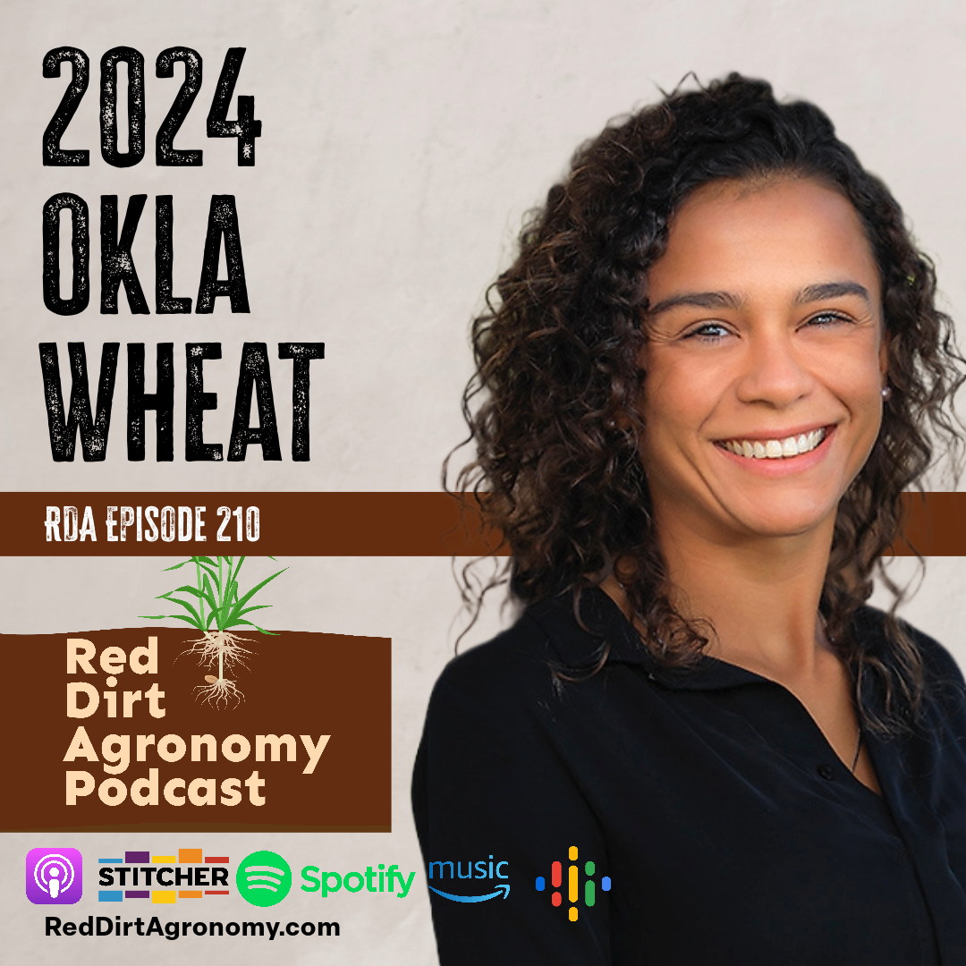 2024 OKLA WHEAT podcast cover with smiling host portrait and Red Dirt Agronomy Podcast logo