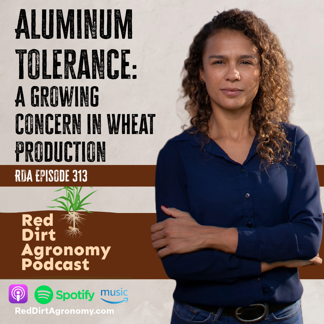 Podcast cover: “Aluminum Tolerance: A Growing Concern in Wheat Production,” with host portrait and wheat graphic.