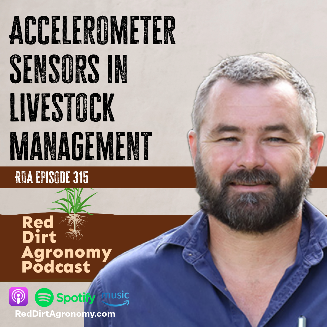 Podcast cover for “Accelerometer Sensors in Livestock Management” with a man’s portrait and Red Dirt Agronomy branding