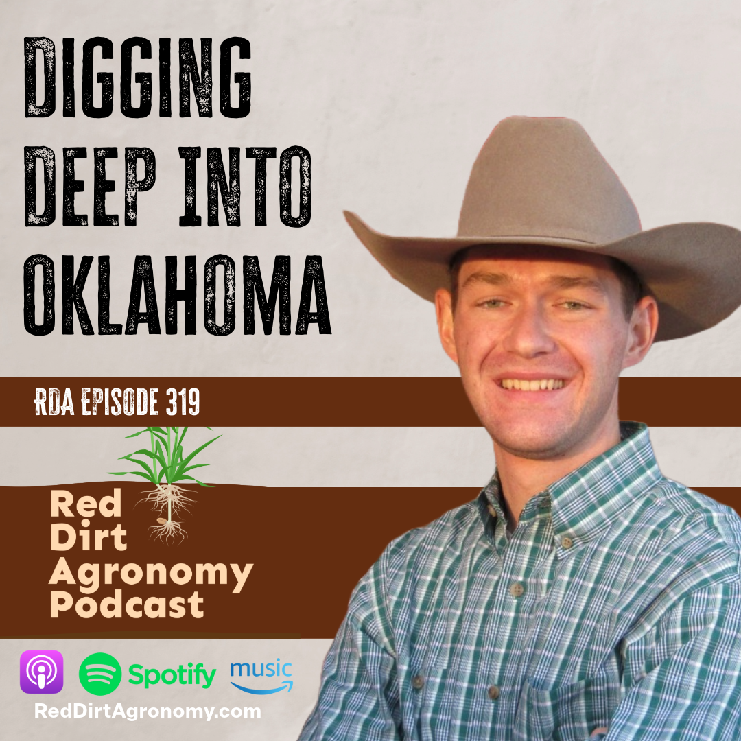 Podcast cover: 