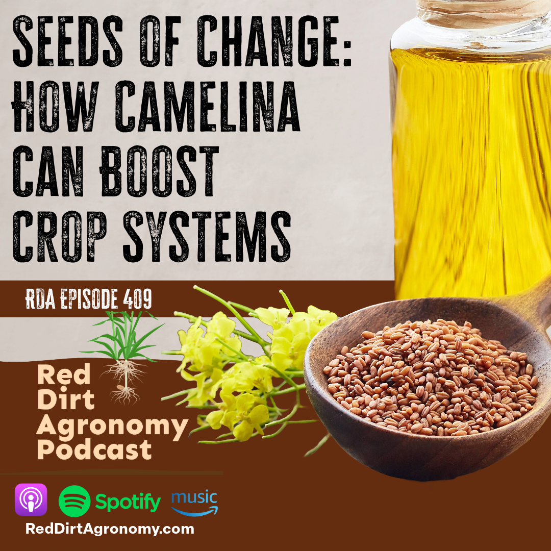 Podcast cover: camelina seeds, plant, and oil bottle; text reads “Seeds of Change: How Camelina Can Boost Crop Systems”