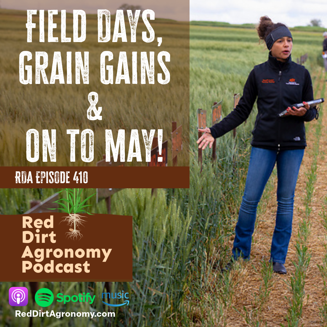 Person in a field holding a tablet beside text promoting “Field Days, Grain Gains & On to May!” podcast episode 410