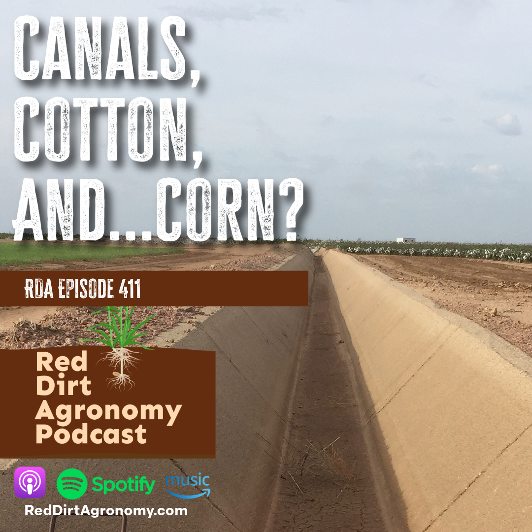 Podcast cover showing a canal beside a cotton field, titled “Canals, Cotton, and…Corn?”