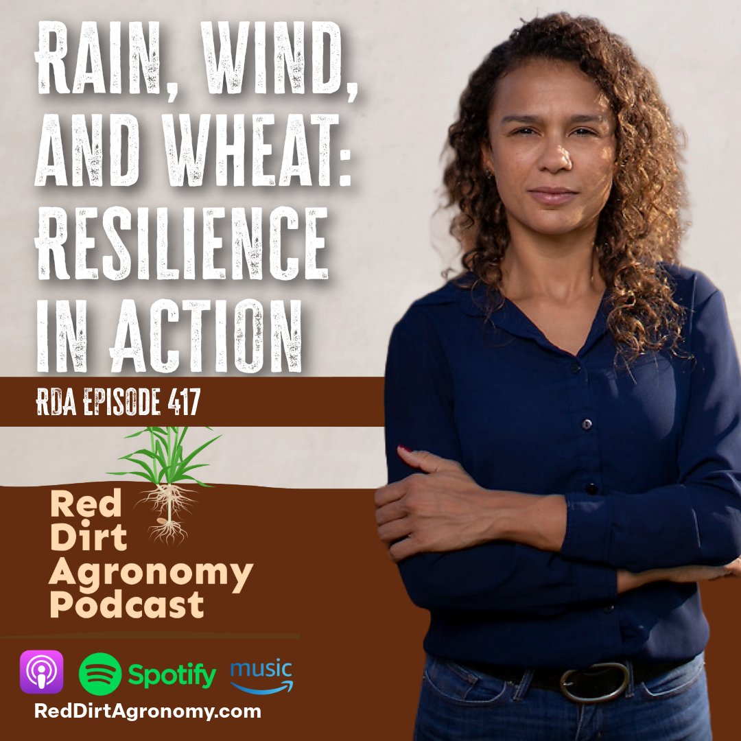 Podcast promo with woman in navy shirt beside text “Rain, Wind, and Wheat: Resilience in Action.”