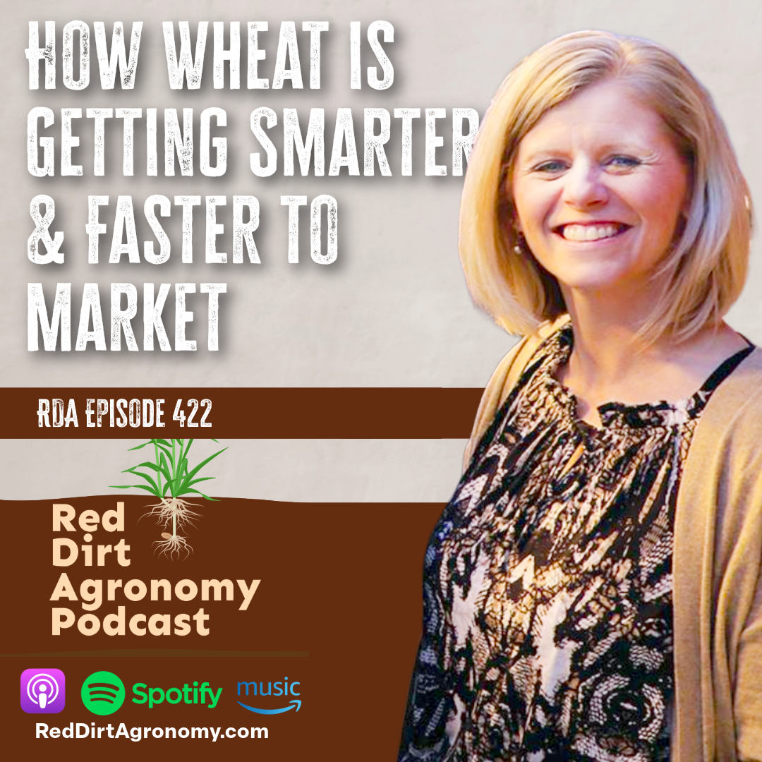 Podcast promo featuring smiling woman and text: “How wheat is getting smarter & faster to market”