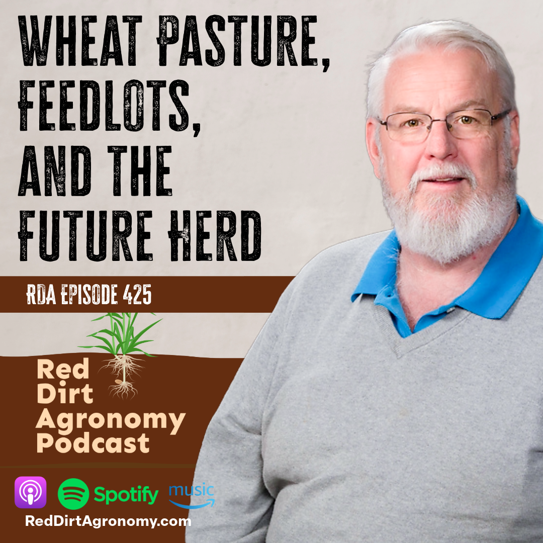 Podcast cover: man in gray sweater beside title “Wheat Pasture, Feedlots, and the Future Herd” on brown and white background